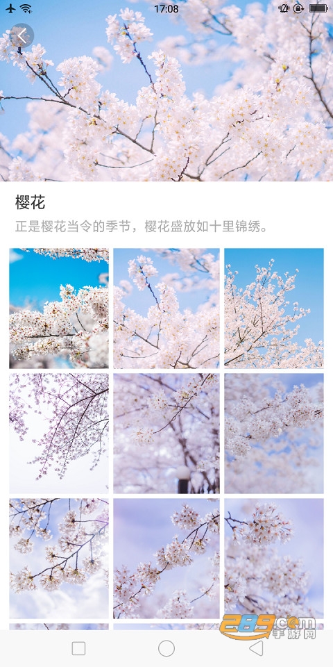 大脚壁纸appv1.0.0安卓版