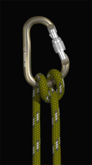 3d绳结
