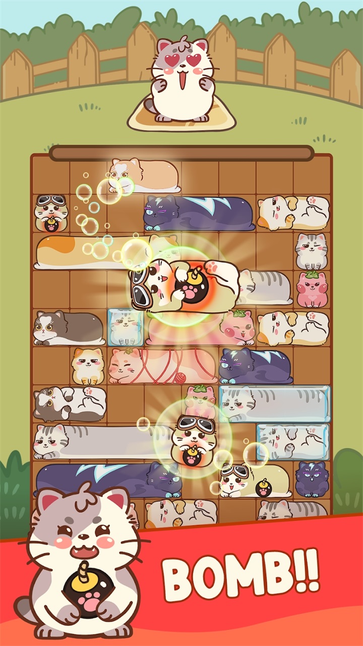 滑猫 1.0安卓版