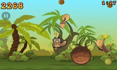 Noogra Nutsapp
