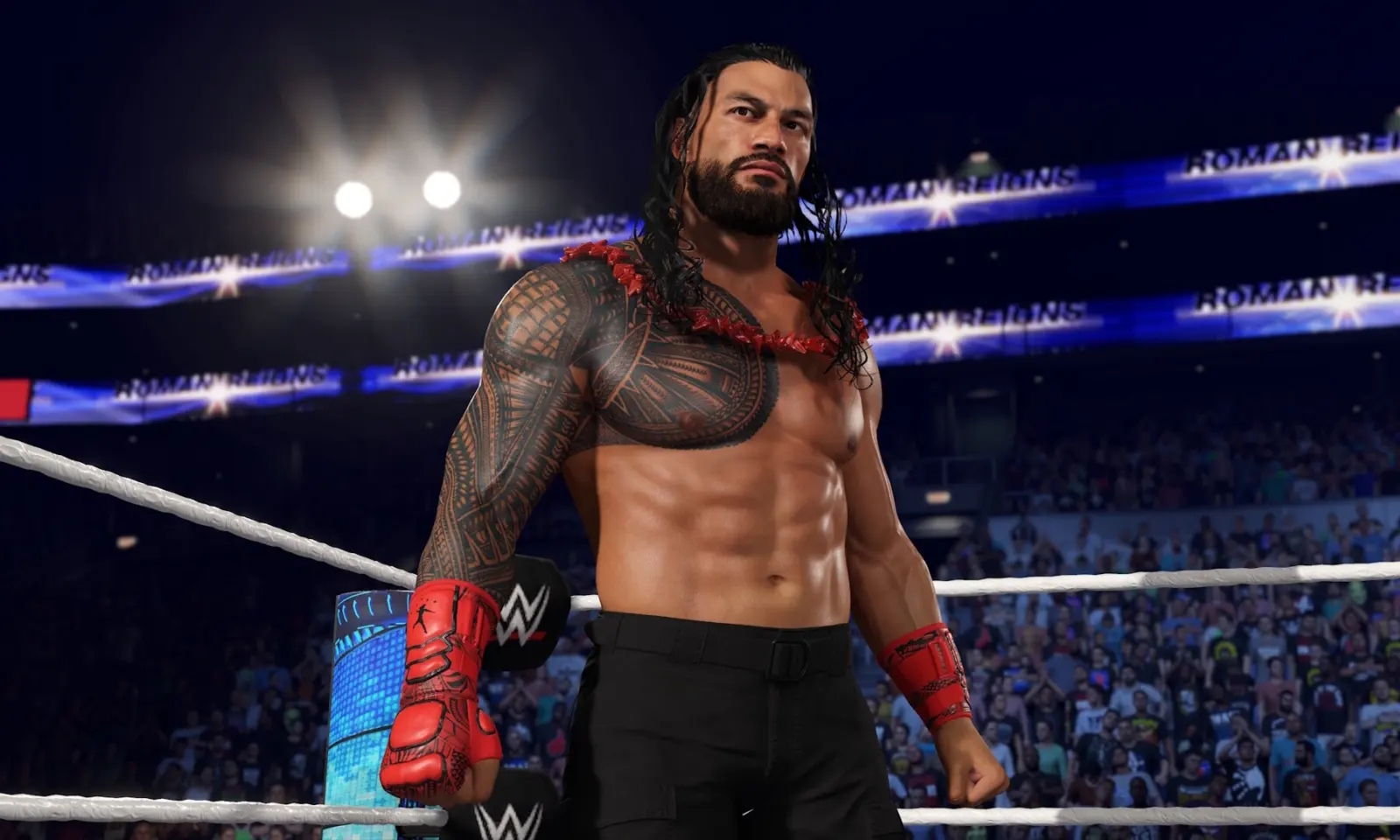 WWE2K25中文版