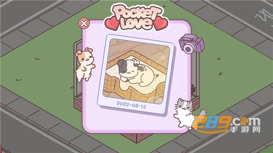 袋中爱中国之家PocketLove游戏下载中文完整免费版v1.10.4安卓版
