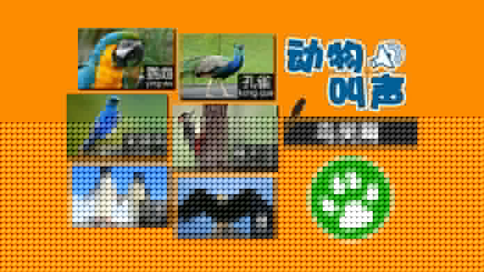 动物叫声