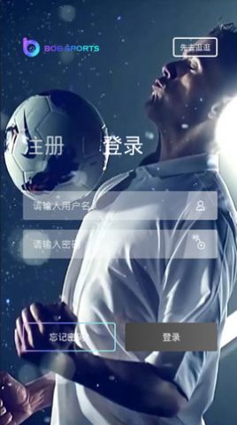 BOB体育