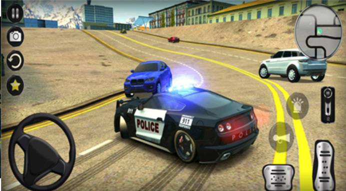 暴力警车