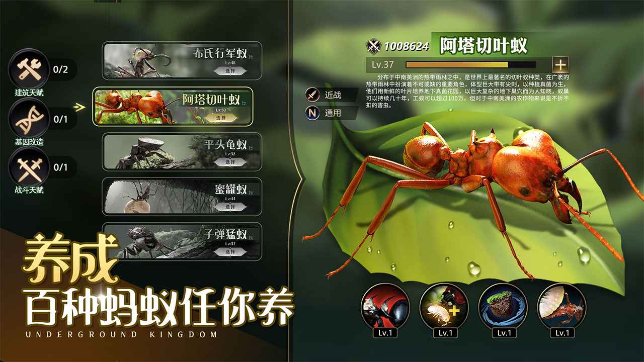 蚁族总动员手游