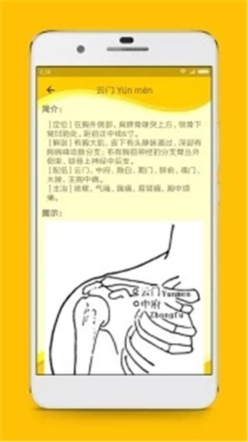 人体穴位图解appv2.2安卓版