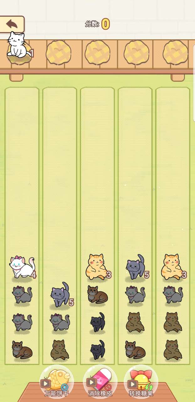 解压猫咪破解版
