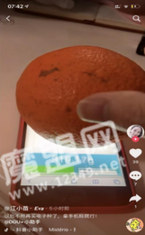 touchscale.点co
