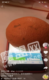 touchscale.点co