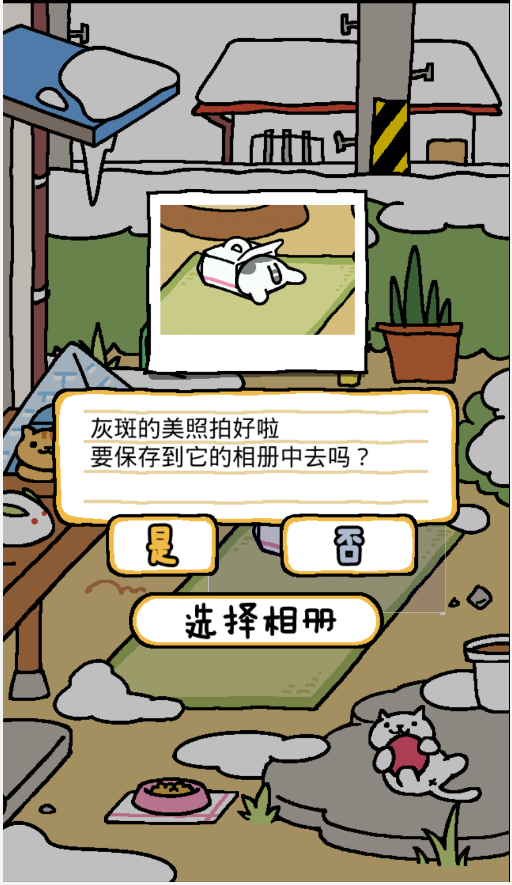 猫咪后院免费版