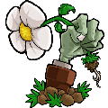植物大战僵尸e版支线0阳光无冷却破解版v1.0安卓版