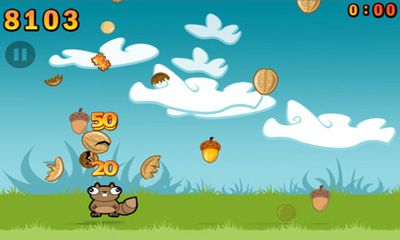 Noogra Nutsapp