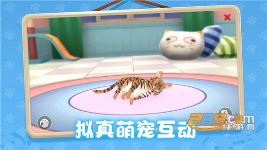 养了个猫破解版下载无限金币2022最新版v.0.19.38安卓版