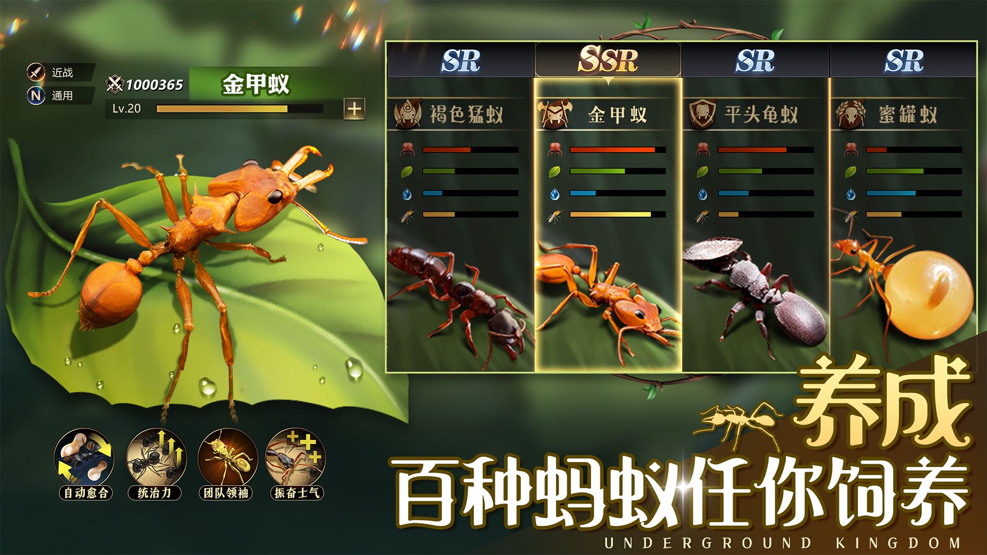 小小蚁国小小蚁世界 1.31.3安卓版