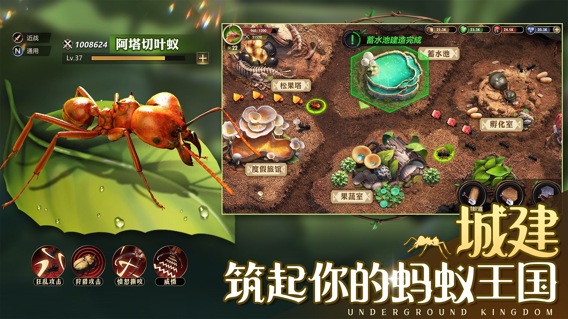 小小蚁国小小蚁世界