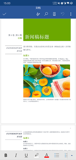 Microsoft Word软件