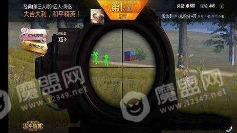 和平精英白菜多功能辅助