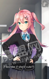 我的黑道女友