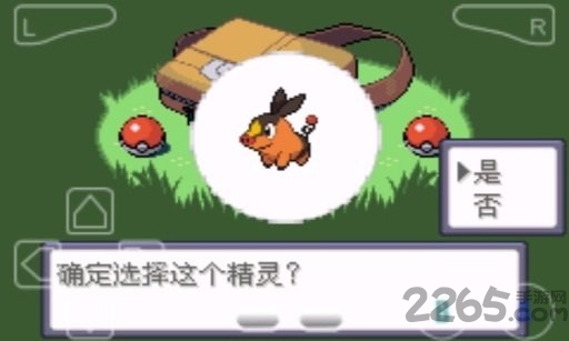 口袋妖怪永恒之沫3.0金手指官网手机版