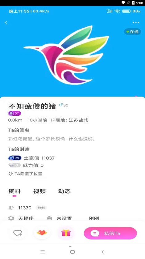 彩虹鸟安卓版
