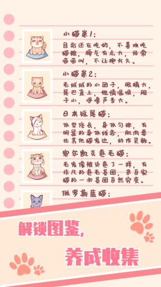 猫咪养成APP