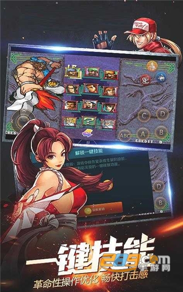 安卓switch模拟器Skyline汉化版v0.3.0 安卓版