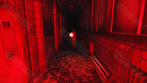 thephenomenon苹果版
