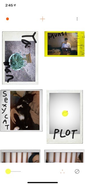 PLOT ios版