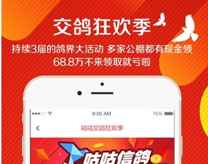 咕咕信鸽应用界面示意图