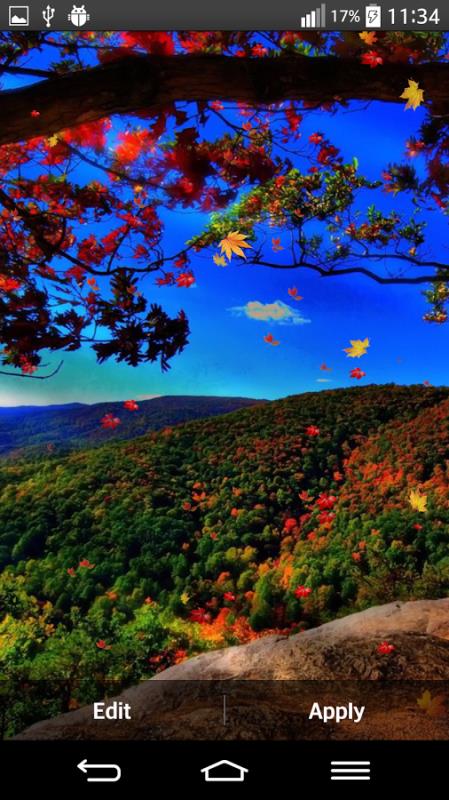 Autumn
