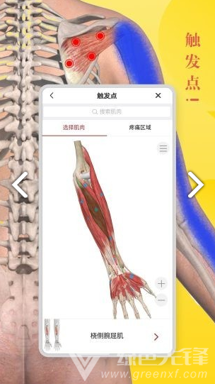 3Dbody艺用(3Dbody艺用三维人体模型)V8.4.41 安卓最新版