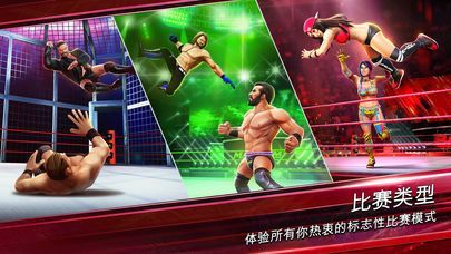 wwe大乱斗正式版