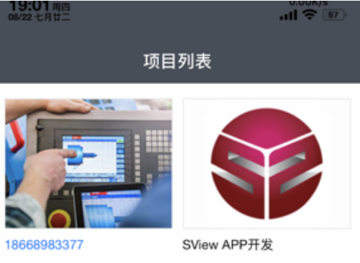 SView软件界面示意图