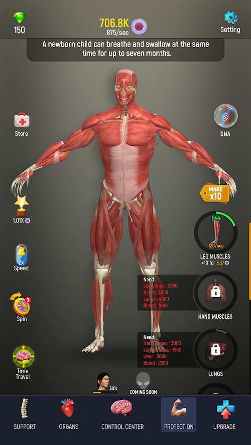 人体模型模拟器