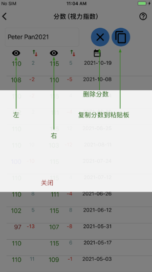 醒目视力表 ios版