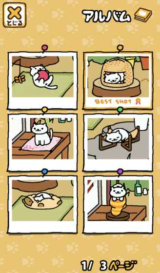 猫咪后院v1.0