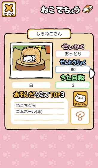 猫咪后院v1.0