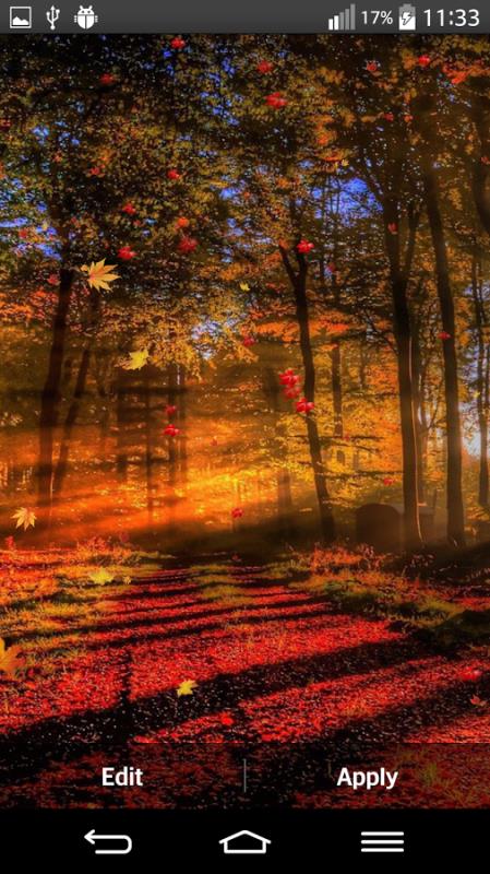 Autumn