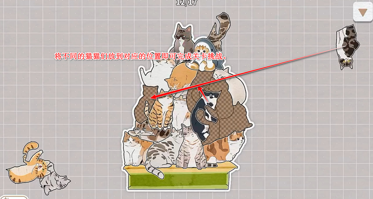 挤在一起的猫猫