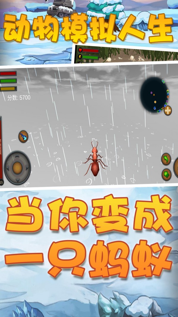 动物模拟人生免费
