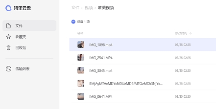 软件界面示意图