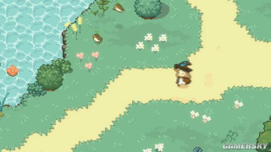 little witch in the woods