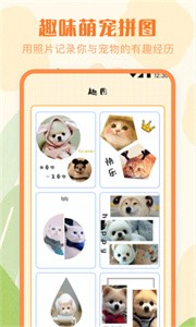 宠物翻译