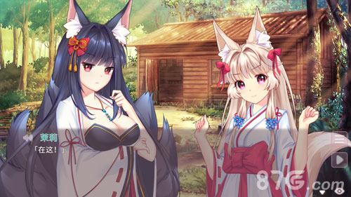 Fox Hime Zero
