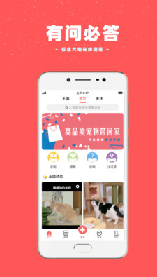 宠物王国(宠物王国外传)V1.2 安卓最新版