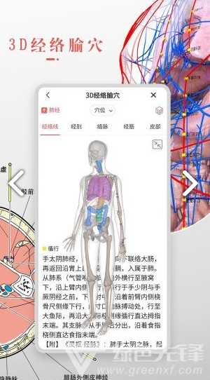 3Dbody艺用(3Dbody艺用三维人体模型)V8.4.41 安卓最新版