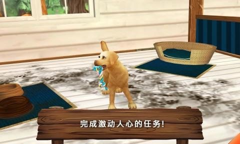动物旅馆中文