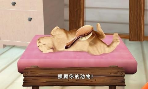 动物旅馆中文
