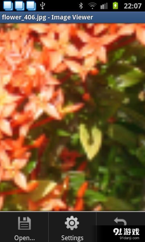Image Viewer